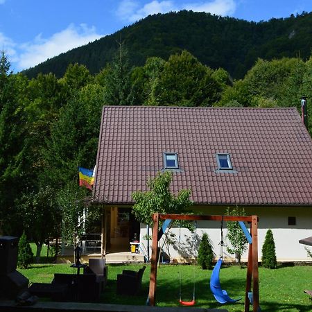 Casa Aris Lepsa Vrancea Hotel Exterior photo