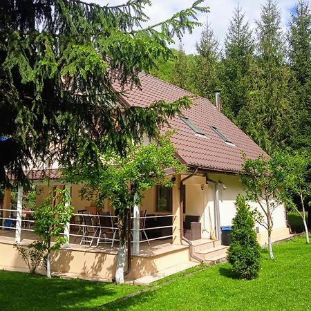 Casa Aris Lepsa Vrancea Hotel Exterior photo